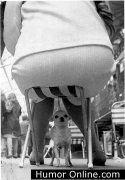 funny-animal-pictures-9.jpg